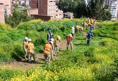 Soldados y policías se juntan para limpiar zona arqueológica en Cusco (FOTOS)