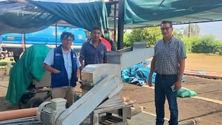 Piura: Impulsan la producción de cacao y banano en Morropón con inversión de S/350 mil