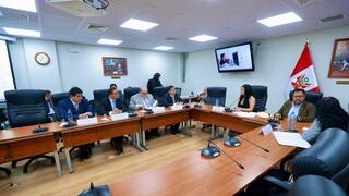 Castillo aún puede subsanar su solicitud de indulto