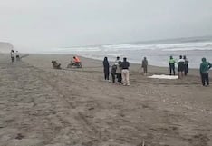 Hallan cuerpo de hombre arrastrado por el mar en Camaná