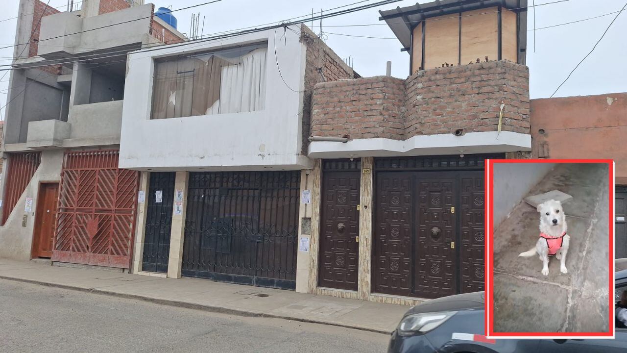 Policía interviene inmueble donde se escondía el agresor.