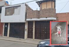 Trujillo: Ofrecen 5 mil soles de recompensa por paradero de hombre que mató a golpes a perrita