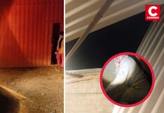 Huancayo: Estudiante ebrio se equivocó de casa y cayó por el techo causando pánico en los propietarios