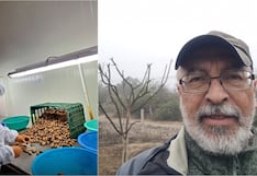 Impulsan exportación de pecanas del valle de Ica a la República Popular China