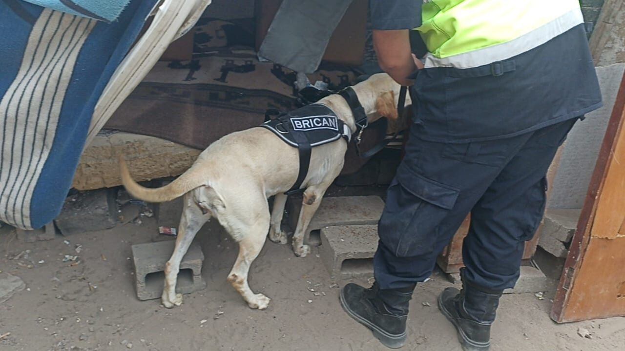 Municipalidad de Trujillo y Policía Nacional vigilan “zonas rojas” de la ciudad para evitar delitos.