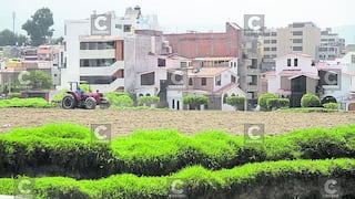 Inmobiliarias paralizadas en Arequipa por retraso en el PDM