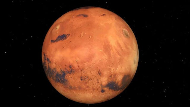 ¿Qué especie que habita en la Tierra puede vivir en Marte? 