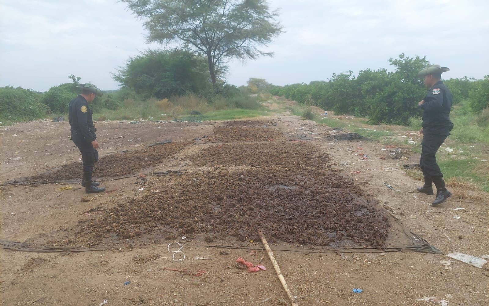 Las autoridades intervinieron predio en Cieneguillo donde cocinaban y secaban más de 5 kilos de pescado