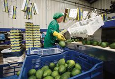 BCR estima que la economía habría crecido por debajo del 3% en el segundo trimestre