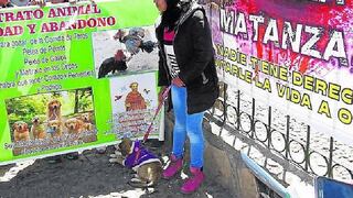 Autoridades rechazan matanza de más de 60 mil perros callejeros en Juliaca