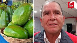 Chile le cierra las puertas de su mercado a la palta de Ayacucho por falta de certificación