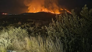Arequipa: Incendio forestal en Yura lleva más de 24 horas activo