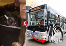 Metropolitano: ATU aclara que sí se puede viajar con mascotas tras polémico caso viral