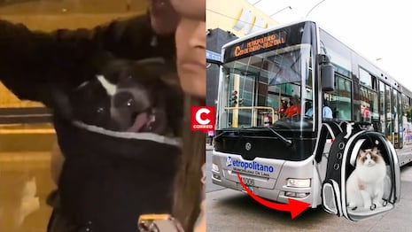 Metropolitano: ATU aclara que sí se puede viajar con mascotas tras polémico caso viral