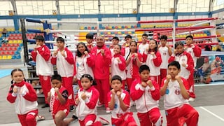 Academia IPD Ica logra 33 medallas en Campeonato Regional de Kickboxing en Ayacucho
