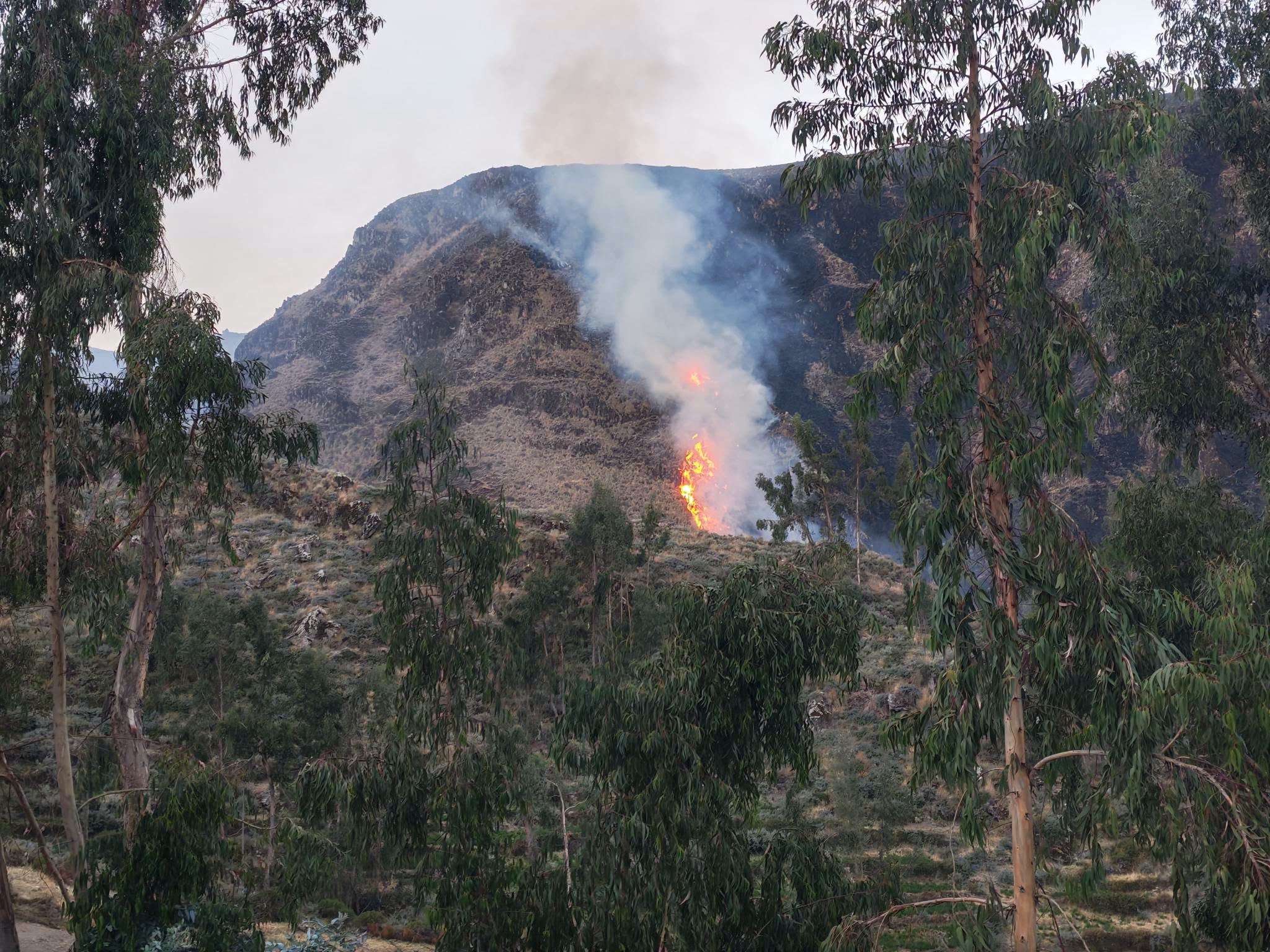 Incendio en Pampacolca destruyó 60 hectáreas de pastizales