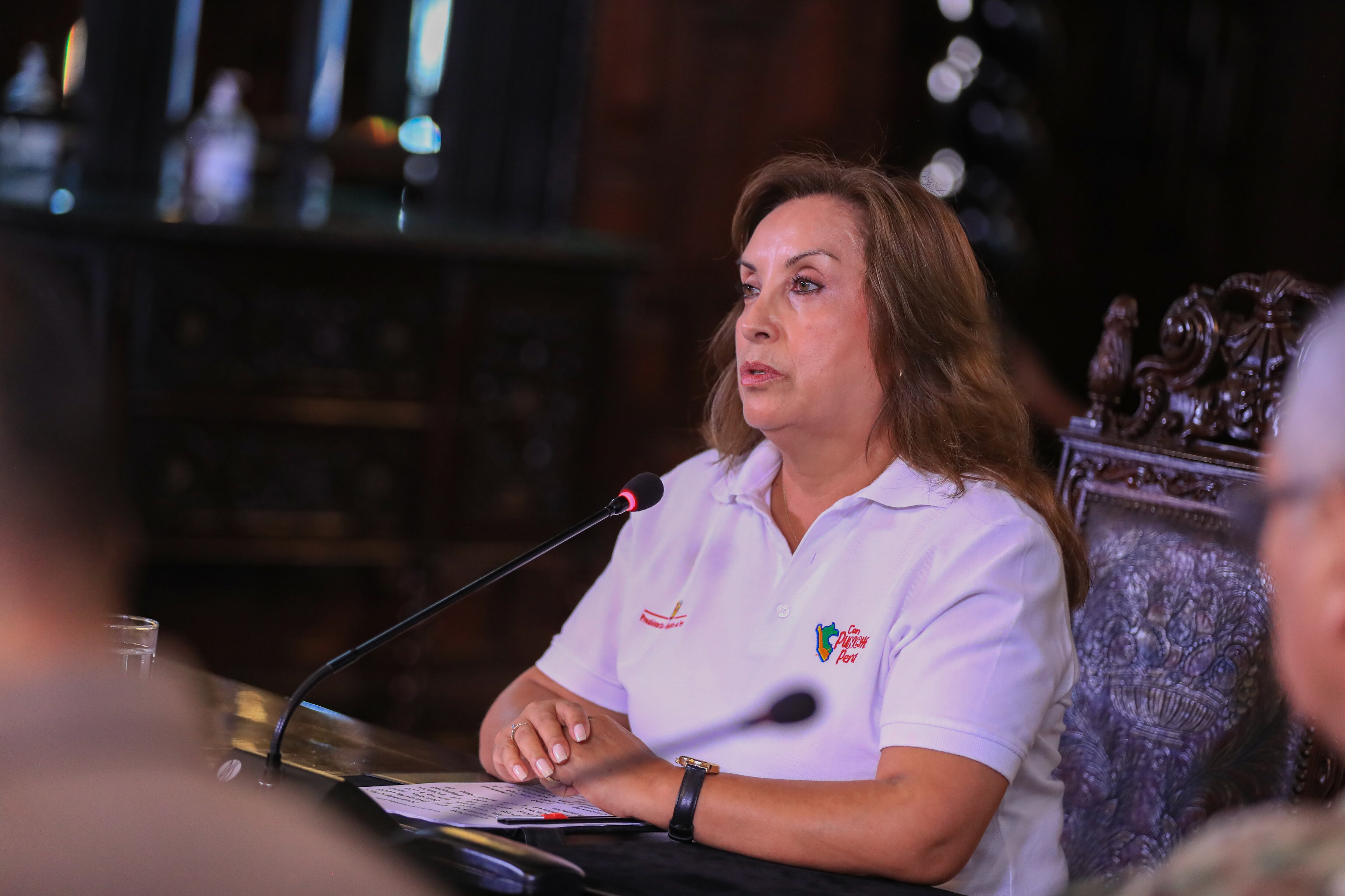 La presidenta señaló que la inseguridad no será resuelta en el corto plazo y destacó los esfuerzos de su gobierno con el patrullaje de la Policía y Fuerzas Armadas, además de la construcción de nuevas cárceles. FOTO: PRESIDENCIA