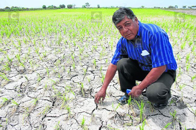 Hectáreas se dejaron de irrigar por falta de agua en Arequipa. (Foto: GEC)