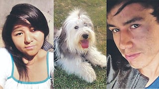 Panamericana Sur: Pareja de enamorados y su mascota mueren en accidente vehicular