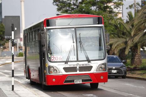 Corredor Rojo estrena tótem: Usuarios puedan consultar llegada de buses en tiempo real