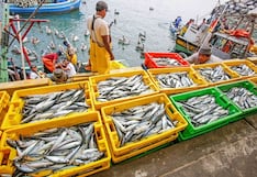 La economía en Piura cerró con 4.7% en el 2025