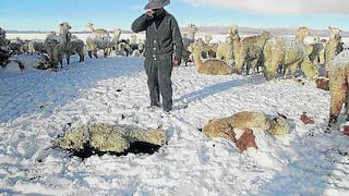 Cinco regiones del sur del Perú en emergencia debido al intenso frío