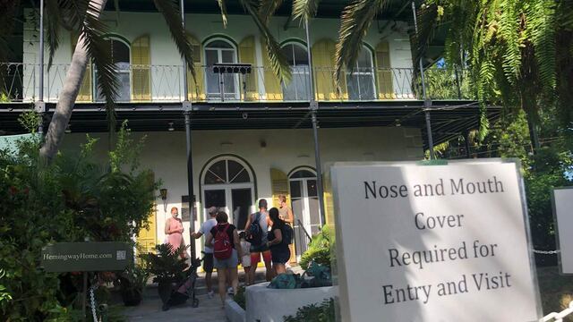 La casa del escritor Hemingway en Florida sobrevive a la pandemia gracias a sus ’gatos mutantes’ 