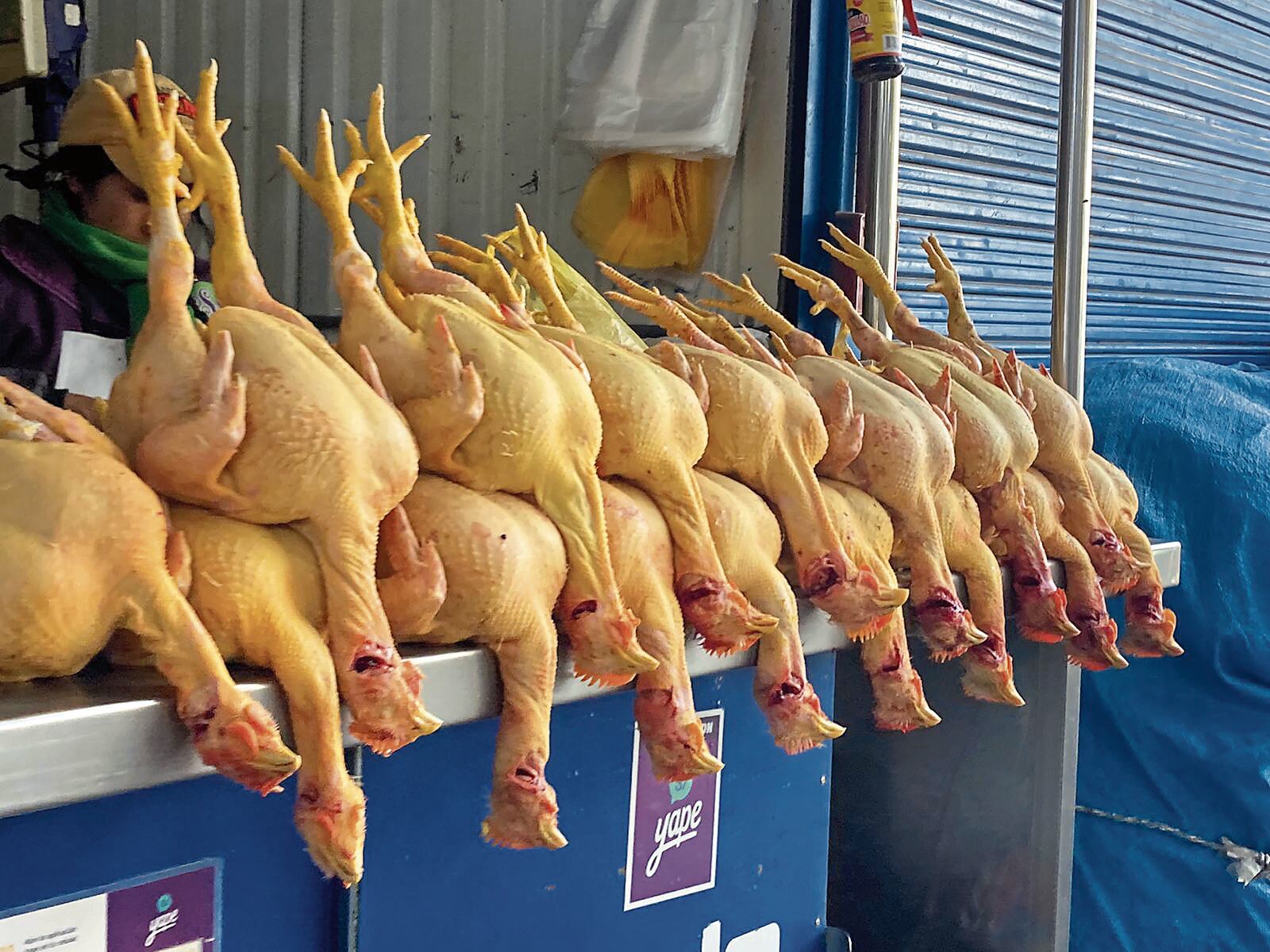 Costo del ave sorprende a familias. (Foto: GEC)