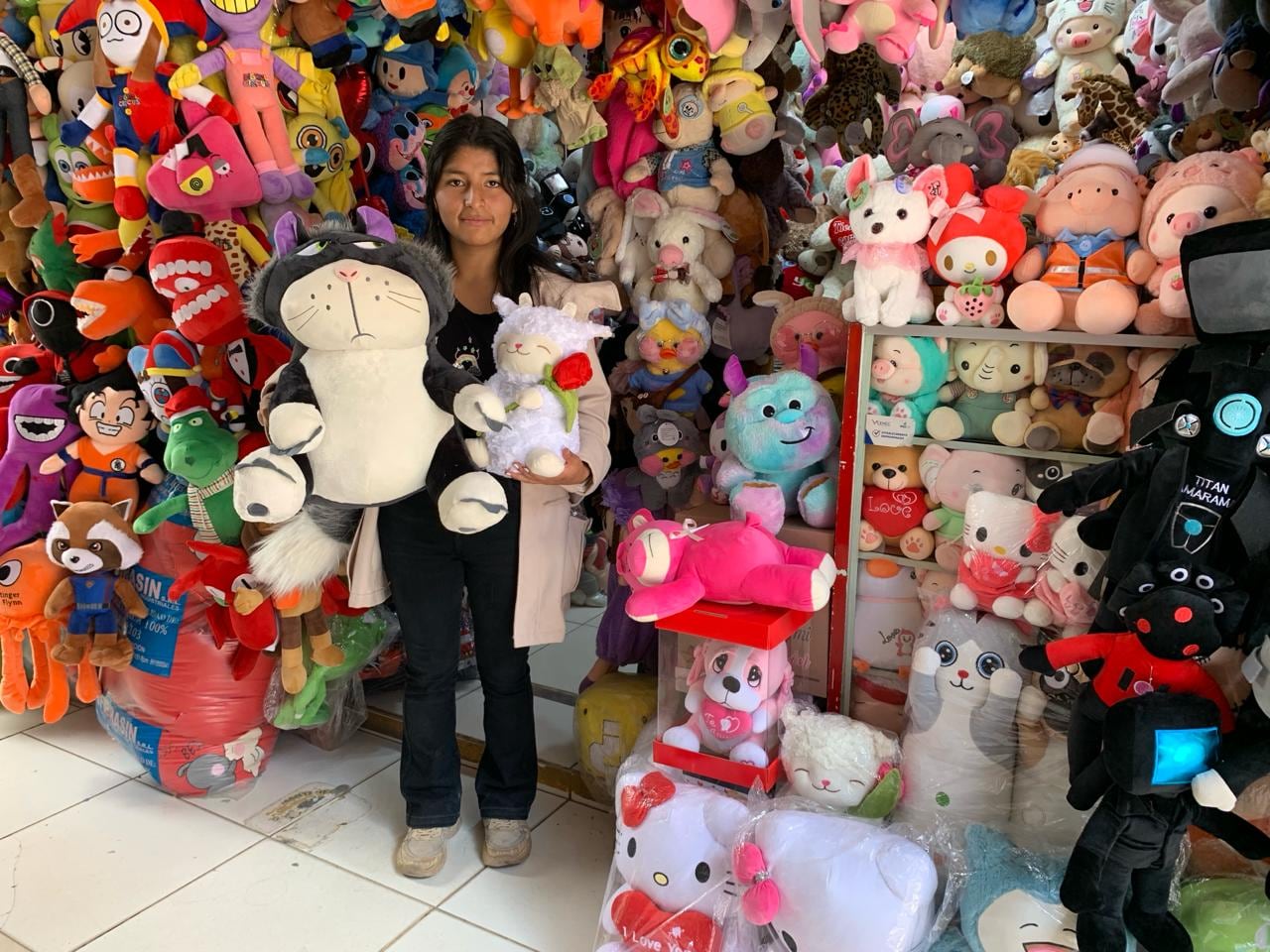 La Tienda de Peluches y Regalos Detallitos ofrece peluches, y entre los más solicitados esta el gato lucifer.