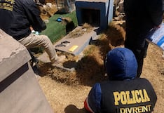 Puno: Encuentran dos armas de fuego y municiones en un cementerio de San Miguel