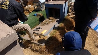 Puno: Encuentran dos armas de fuego y municiones en un cementerio de San Miguel