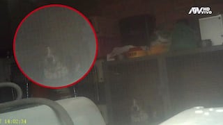 Magaly revela duras imágenes de las mascotas de Deyvis Orosco en una guardería (VIDEO)