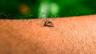 Arequipa registra 9 casos importados de dengue