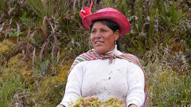 Administradora de fondos de inversión a la caza de empresas sociales de alto impacto en Perú