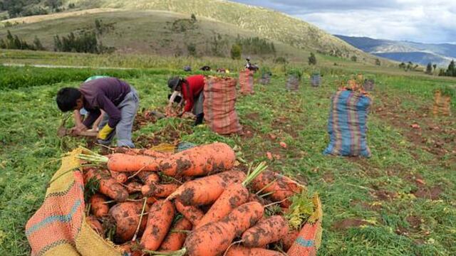 Nueva Ley Agraria tiene entre sus desafíos hacerle frente a la informalidad