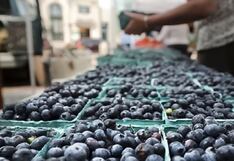 Exportaciones de La Libertad crecen un 13.5% en 2024 y alcanzan los US$ 5,302 millones