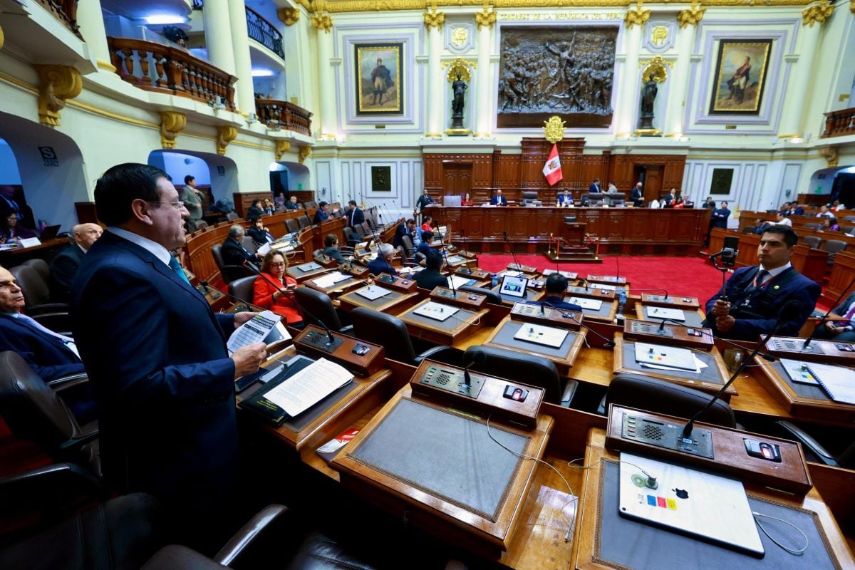 (Foto: Congreso)