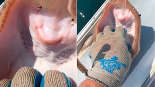 Este video de una manta recibiendo cosquillas oculta una terrorífica verdad