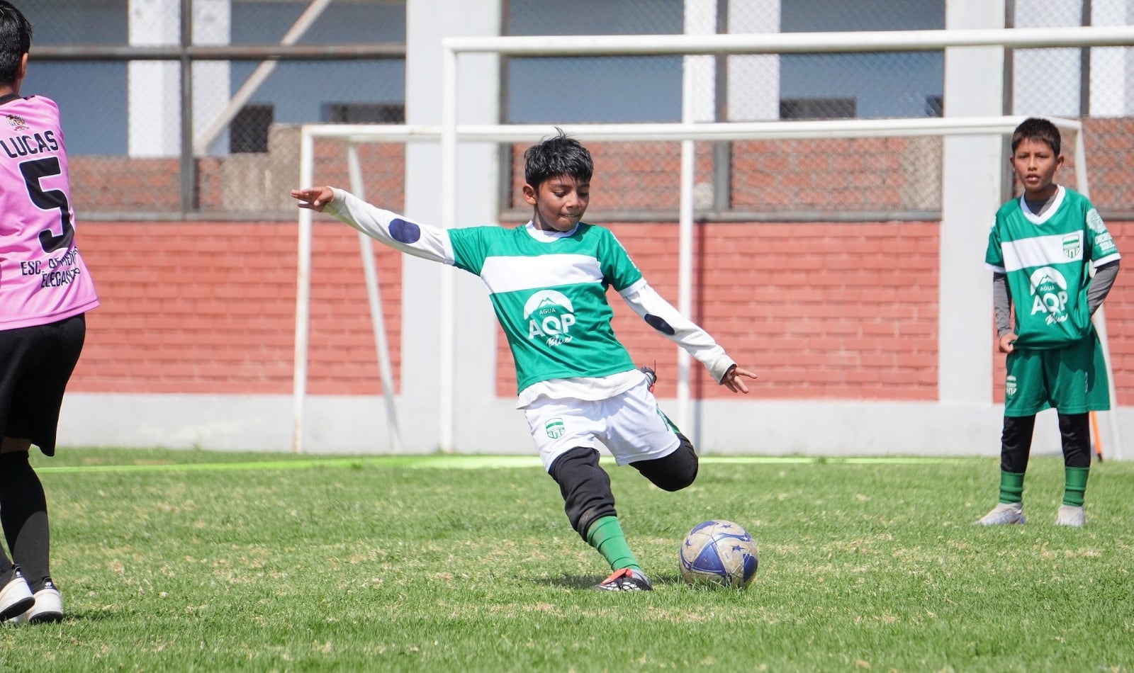Sporting Company busca reforzar sus divisiones menores en Arequipa. Foto: Sporting Company.