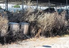 Arequipa: Pagaron S/790 mil por marmitas que nunca se usaron en el hospital Honorio Delgado