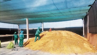 Entregarán 430 toneladas de abono orgánico para agricultores de la provincia de Islay, en Arequipa