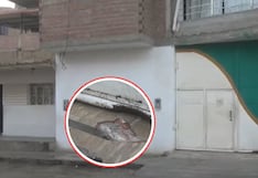 Trujillo: Delincuentes detonan explosivo en una vivienda de tres pisos