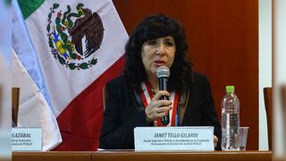 Janet Tello afirma que algunas normas aprobadas por el Congreso no han dado los resultados esperados