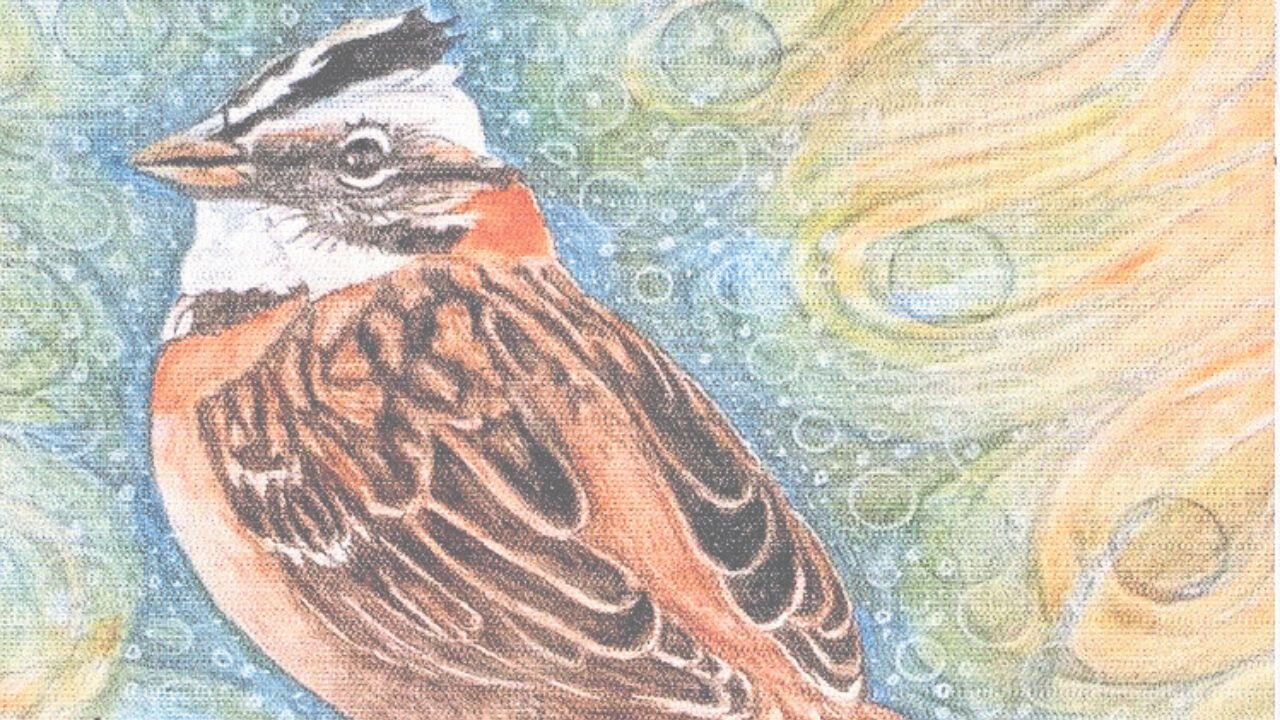 Este número emblemático de “Alfarero” traza y explica un panorama de las circunstancias, principalmente económicas, sociales y políticas en que apareció el Grupo Literario Alfarero, editor de la mencionada publicación.