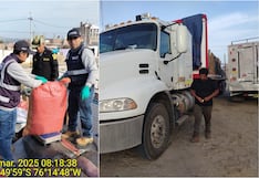 Chincha: transportaba 300 sacos con trozos de pescado sin la documentación