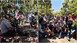 Ica: fortalecen capacidades de productores del C.P. Ranchería en el uso de bioinsumos