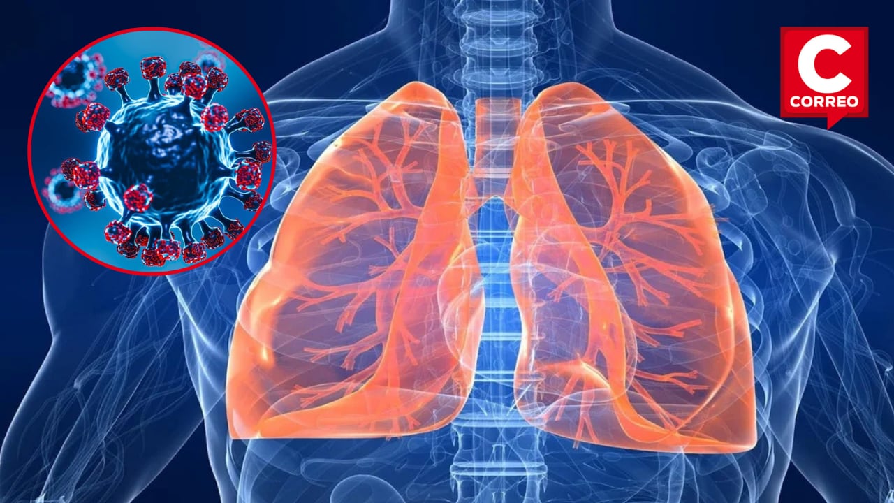 (Foto: Vital Health)