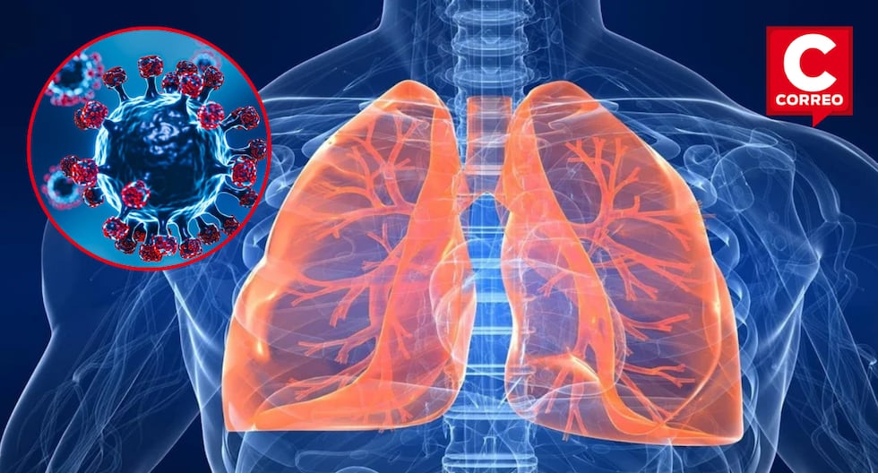 Alerta en China por brote de Metapneumovirus Humano que afecta a jóvenes