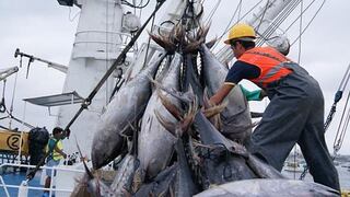 Industria nacional recibirá 30% del atún que capture nave extranjera