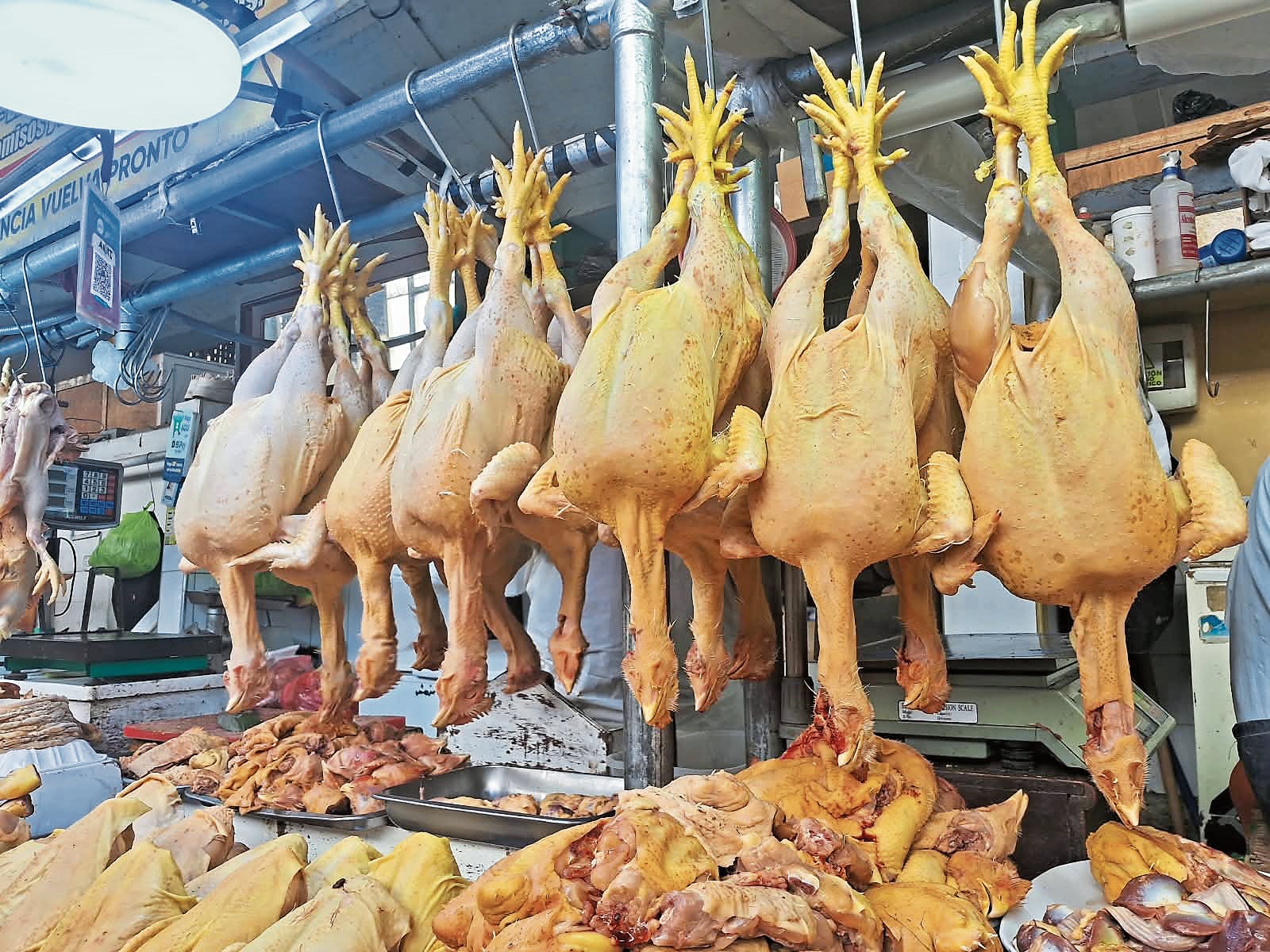 Pollo baja a 7 soles el kilo y alivia economía de los hogares de Huancayo, el pescado está por las nubes